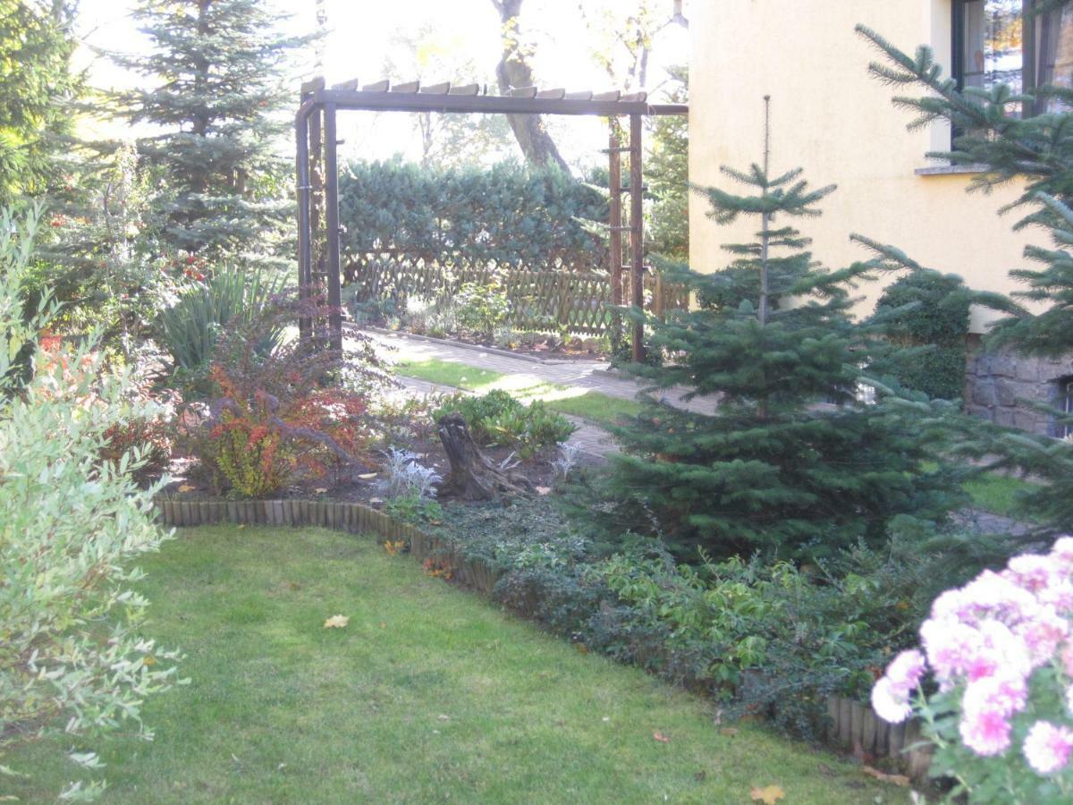 Pension Zum Weissen Hirsch Reitwein Екстер'єр фото