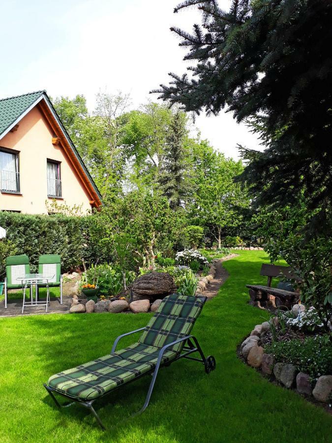 Pension Zum Weissen Hirsch Reitwein Екстер'єр фото